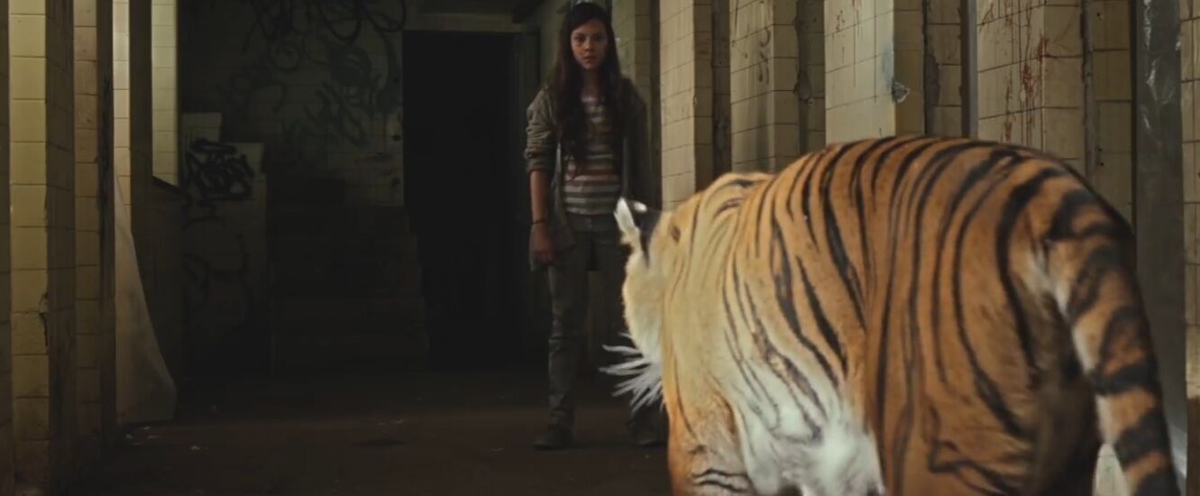 Tigers Are Not Afraid_preview.jpeg