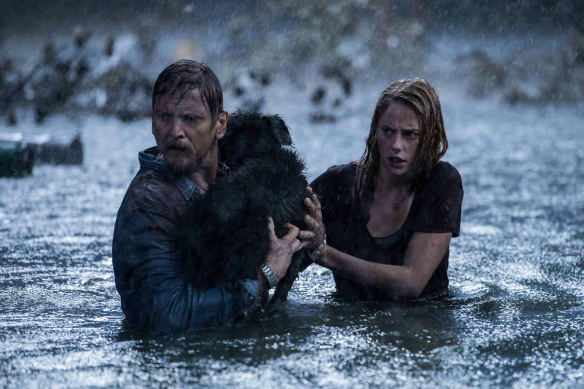 CRAWL Trailer: Alexandre Aja Wades Into Dangerous Waters