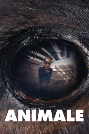 NIFFF2024-Animale-Ext1.jpg