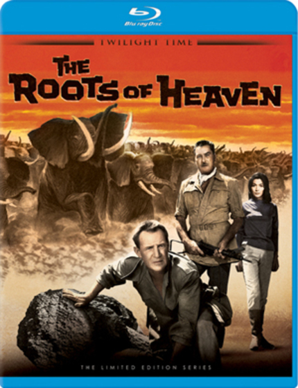 Blu-ray Review: THE ROOTS OF HEAVEN