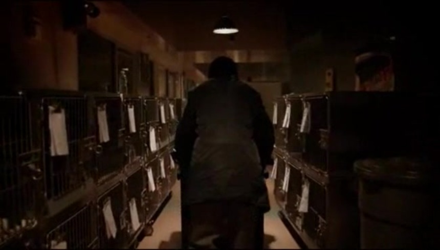 TIFF 2010: Get A Taste Of Kire Paputts' ANIMAL CONTROL