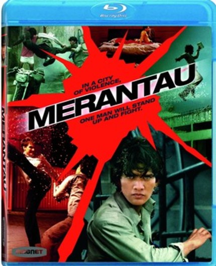 Indonesian Martial Arts Film MERANTAU Hits US DVD And BluRay December 28th!