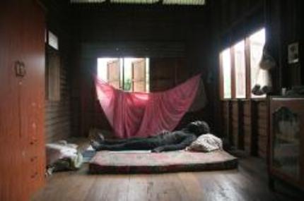 Apichatpong Weerasethakul's PHANTOMS OF NABUA Online Today!