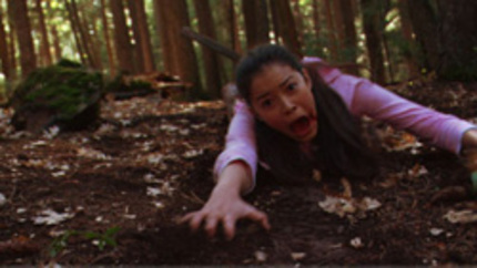 Toronto After Dark 2007: Simon Says review