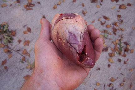 Be My Valentine - ScreenAnarchy Style