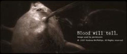 First Stills From Andrew McPhillips' Blood Will Tell