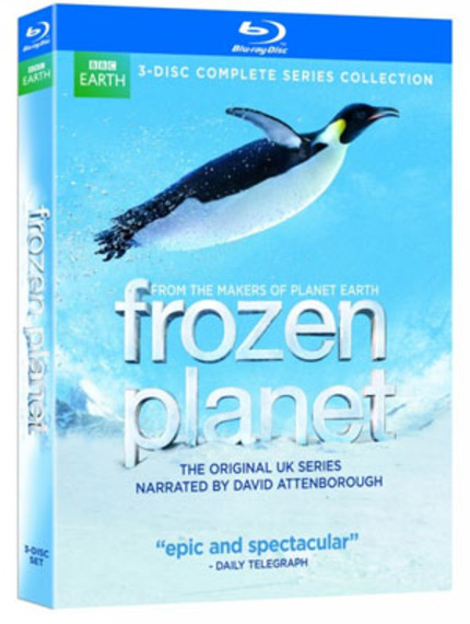Blu-ray Review: FROZEN PLANET takes you to the edges of our world