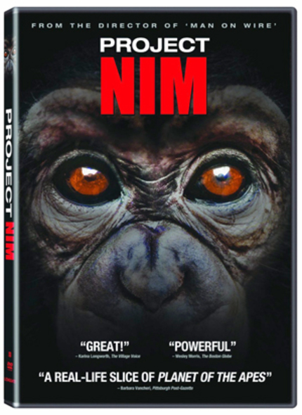 DVD Review: PROJECT NIM