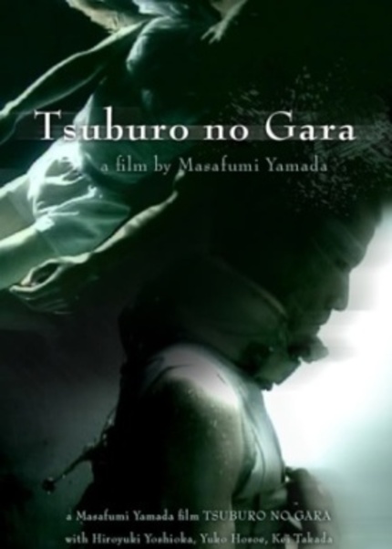 TSUBURO NO GARA (Personal Favorites) Review