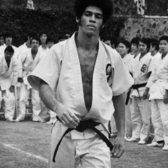 Jim Kelly, Star of Martial Arts Movies, Dies at 67 - The New York Times