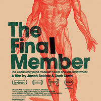 Opening: THE FINAL MEMBER, Size Matters In This Penis Documentary