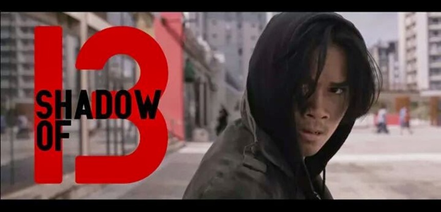 FOR YOUR CONSIDERATION: Watch Godefroy Ryckewaert's Thrilling Martial Arts Crime Twofer, SHADOW OF 13