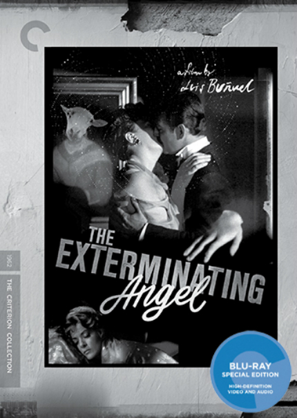 Criterion in December 2016: THE EXTERMINATING ANGEL, THE ASPHALT JUNGLE, ROMA and HEART OF A DOG
