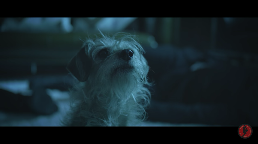 DOG WICK: Man's Best Friend Goes Gun-Fu In Rocketjump's Spoof Trailer