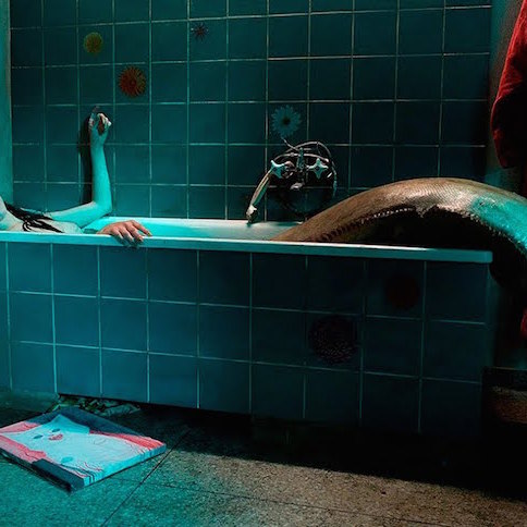 Blu-ray Review: Musical Man-Eating Mermaids in Agnieszka Smoczyńska's THE  LURE