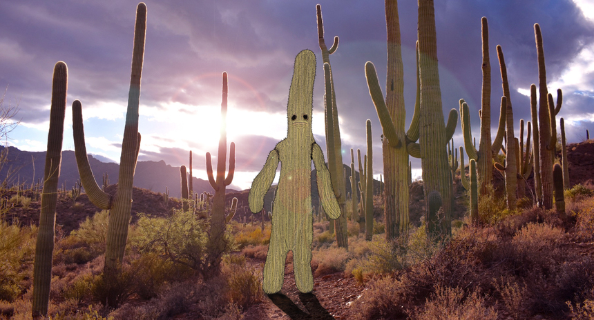 'Cactus Boy' - Practical Effects Film About A Prickly Imaginary Friend Launches Kickstarter Campaign