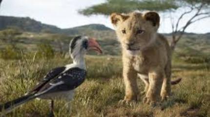 'The Lion King' (2019) Movie Review