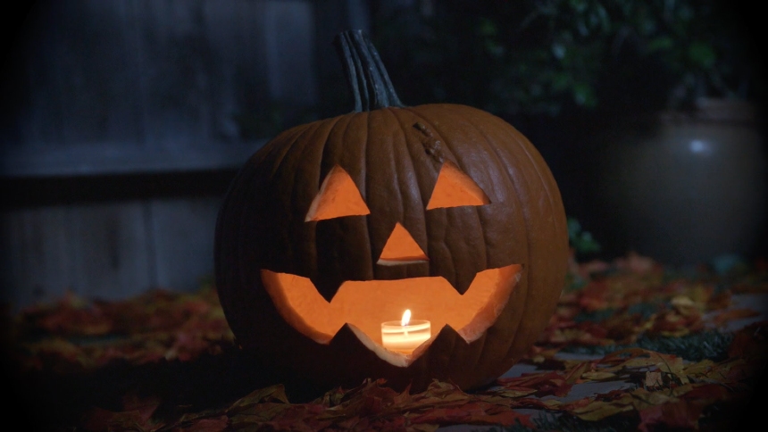 Shudder Sets Halloween Season Streaming Screamers