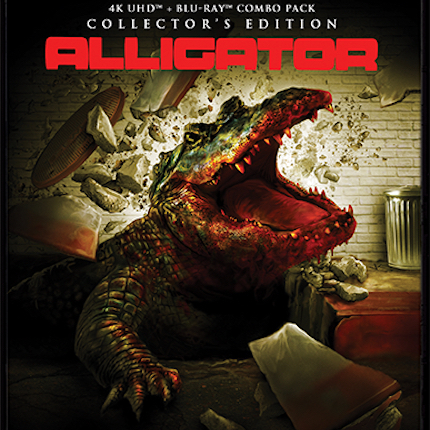 4K Review: ALLIGATOR Shines on Home Video