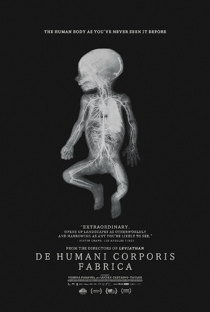 DE HUMANI CORPORIS FABRICA Review: Landscape of Flesh
