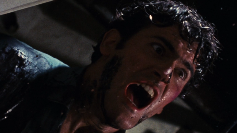 THE_EVIL_DEAD_1981_1.png