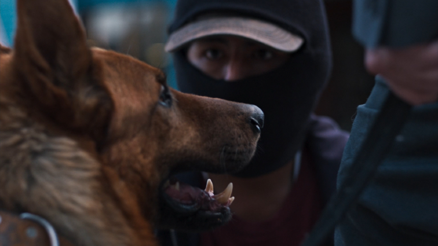 Tribeca 2024 Exclusive Trailer Debut: THE DOG THIEF Takes a Bite Out of Crime