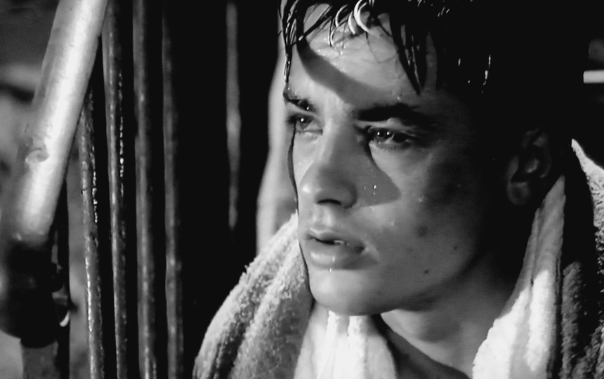 Photo Alain Delon – Tirage Neuf – Portrait Iconique