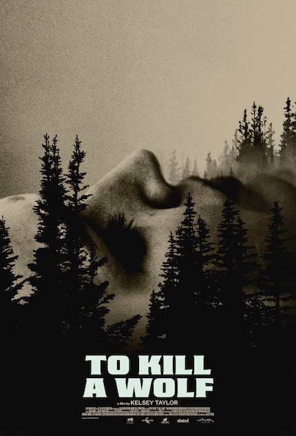 TO KILL A WOLF Review: Watch Out for the Quiet Ones