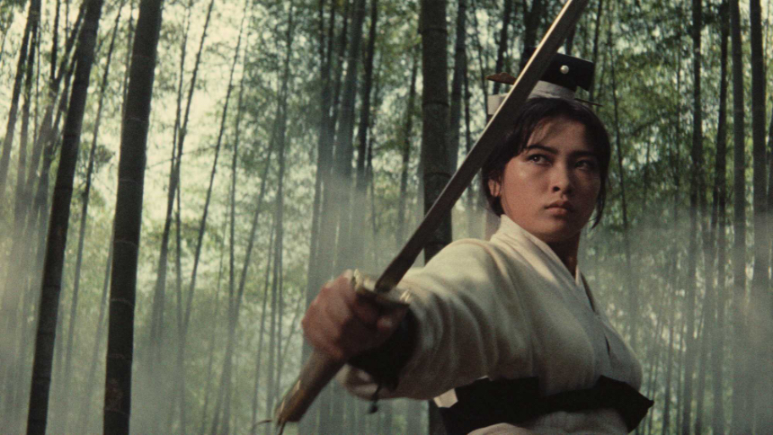 Hey Schenectady! Get Your Wuxia On with Subway Cinema's Taiwanese Retrospective