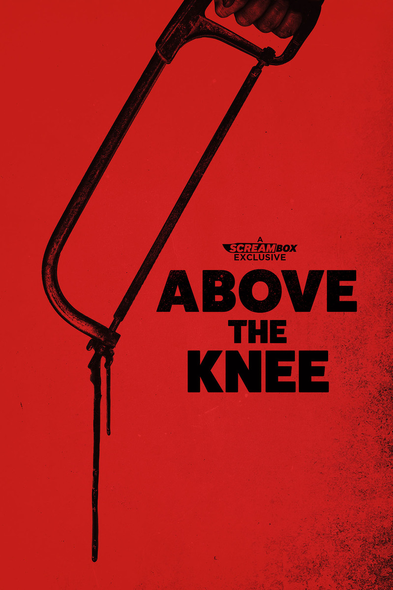 AboveTheKnee_screambox.jpg