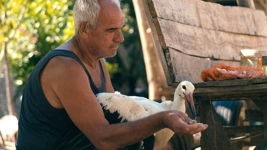 Toronto 2025 Review: THE TALE OF SILYAN, A Miracle of Filmmaking