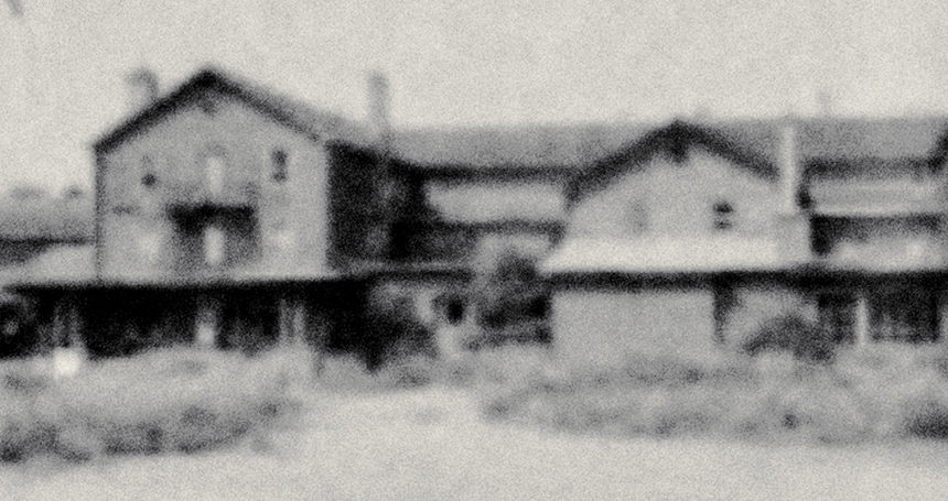 Friday One Sheet: AMONG THE PINES (DANS LES PINS)