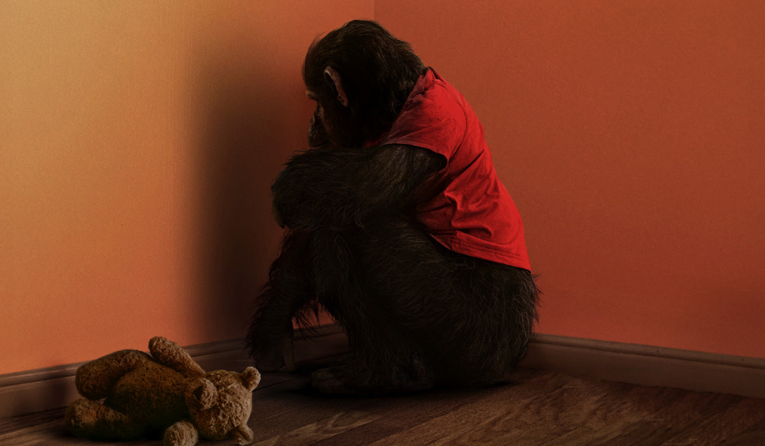 Toronto After Dark 2025 Review: PRIMATE, A Lean and Mean Creature Feature