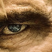 EXIT PROTOCOL Exclusive Clip: Indie Action Film Starring Scott Martin, Dolph Lundgren, Charlotte Kirk and Michael Jai White Coming November 7th