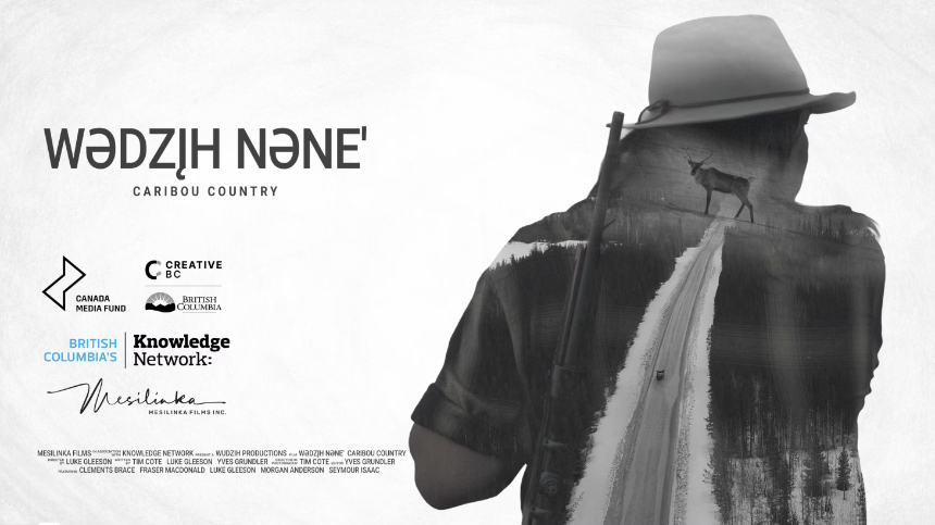 Available Light 2026 Review: CARIBOU COUNTRY (Wədzįh Nəne'), Exemplary Arthouse Activism