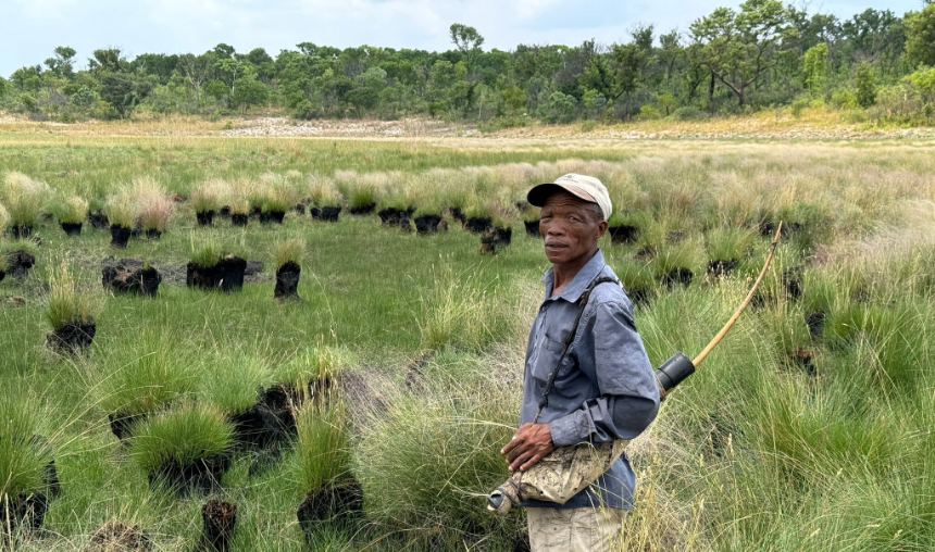 GHOST ELEPHANTS Review: Werner Herzog Reconciles Pragmatism and Poetry in the Angola Highlands