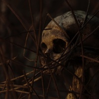 THE AWAKENING (El Despertar): The Posthumous Work of Director Jaime Osorio Marquez to Premiere at Guadalajara