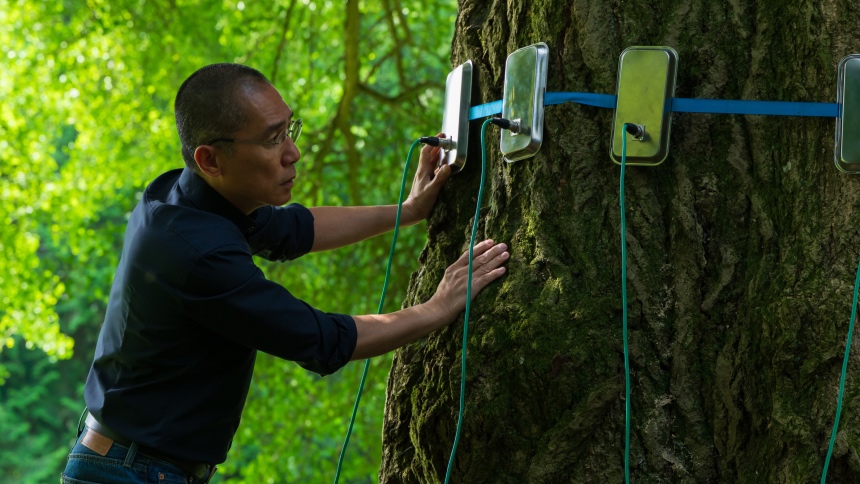 SILENT FRIEND Review: If Trees Could Talk