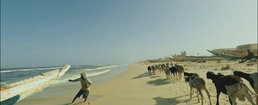 Diagonale 2026 Review: PORTRAIT OF NOWNESS Assembles a Fragmented Mosaic