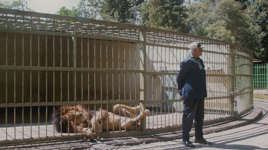 Diagonale 2026 Review: WAX & GOLD Probes Memory and Myth of Ethiopia's Beloved Autocrat