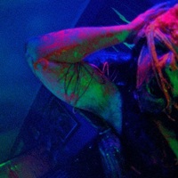 An Argentine Spin-Off of Joe Begos' JIMMY AND STIGGS is Underway