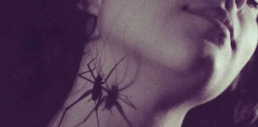 Fantasia 2026: INSECTASY Trailer Asks "You're Into Bugs, Right?"