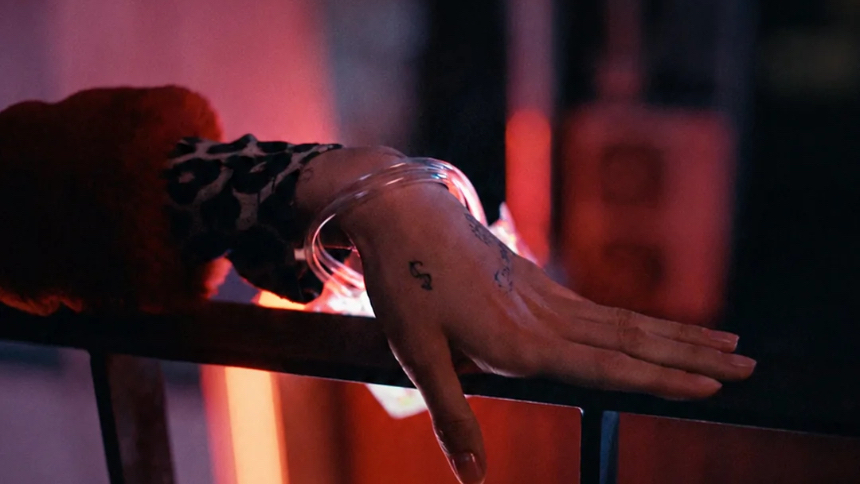Fantasia 2026 Review: NIKO, All Night Pretentious Delight 