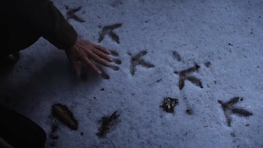 Vlissingen 2026 Review: WHISPERS IN THE WOODS Stuns With Visual Poetry